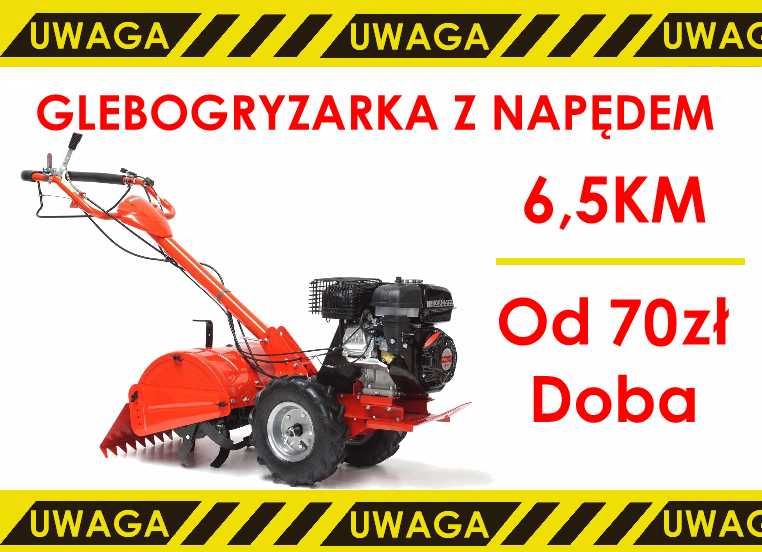 Wynajem Glebogryzarka spalinowa z napędem mocna wypożyczalnia najem