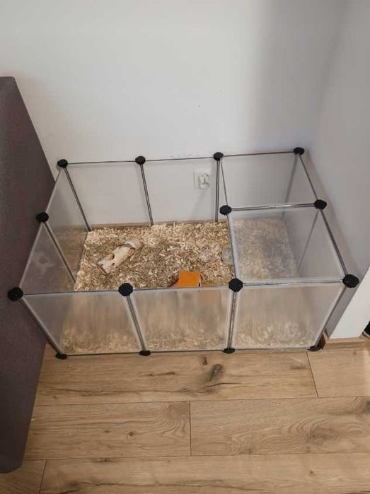 Klatka dla małych zwierząt kojec dla królika świnki chomika zagroda