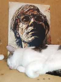 Pop art Andy Warhol akryl na płótnie 40 x 30 cm