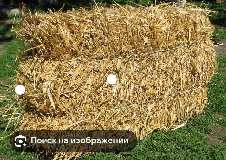 Тюки солом'яні пшеничні