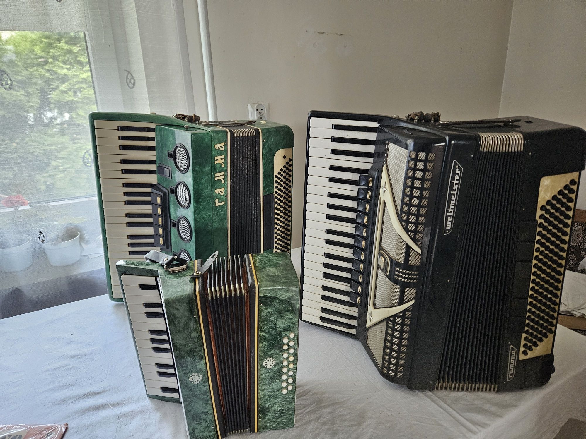 Akordeon instrument