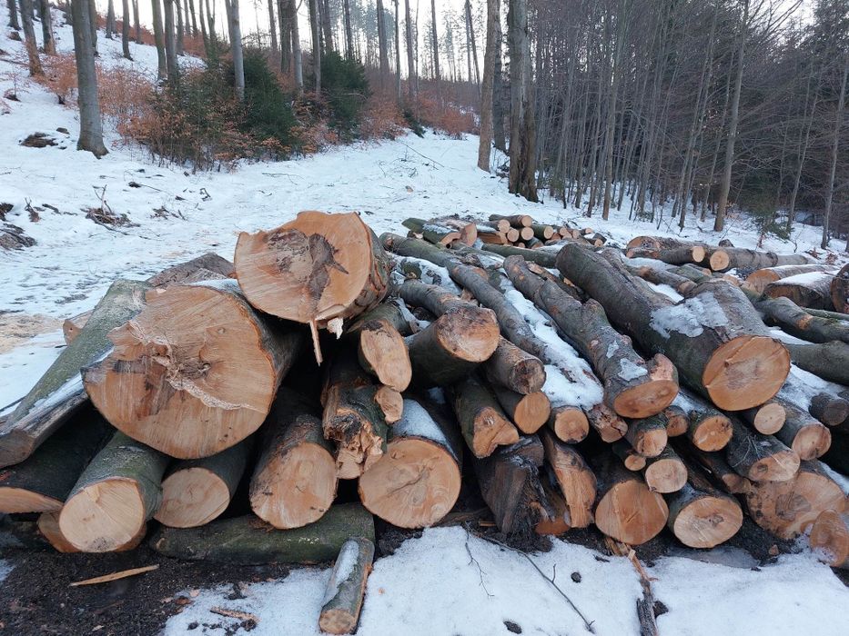 Drewno kominkowe opalowe