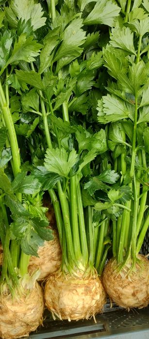 Kapusta Główki i inne Świeże Warzywa Prosto od Rolnika