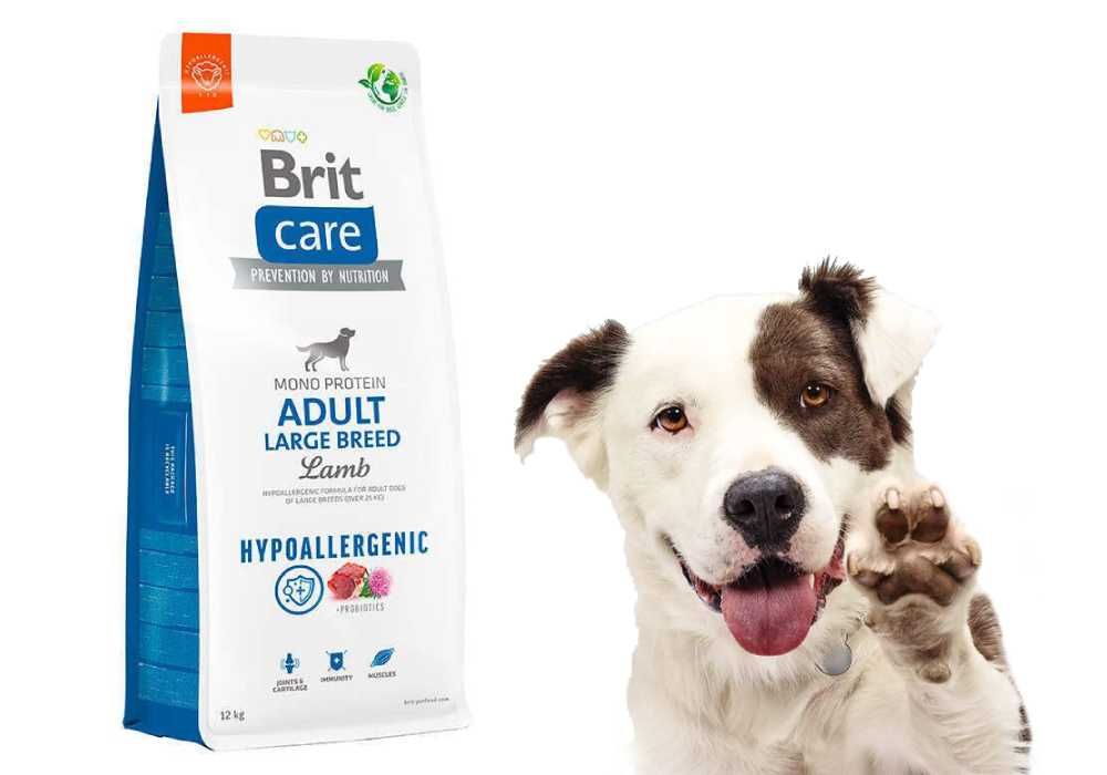 Сухой корм Brit Care для взрослых крупных собак с ягненком 12кг
