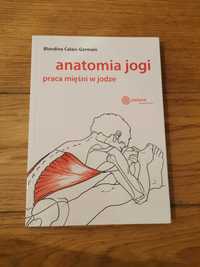 Anatomia jogi praca mięśni w jodze Calais-Germain