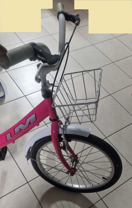 Bicicleta Menina com Cesto - Roda 20"