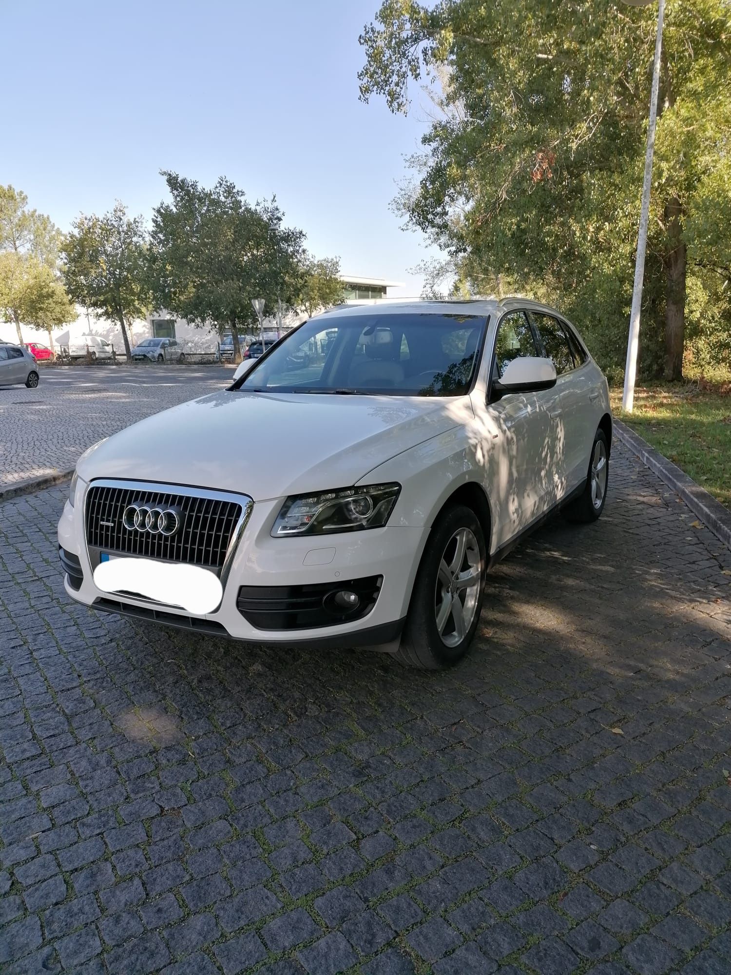 Audi Q5 S-Line 2010