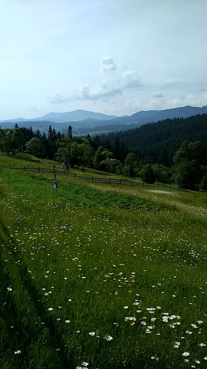 Земельна ділянка - Ворохта