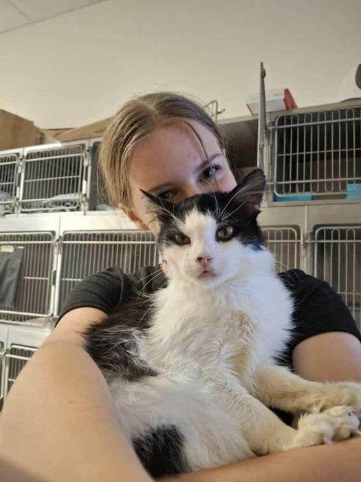 Piekny Pon szuka swojego domku