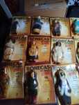 Bonecas do mundo 26 bonecas