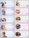 Naklejki na zeszyty The Sweet Pets Kids. Beniamin
