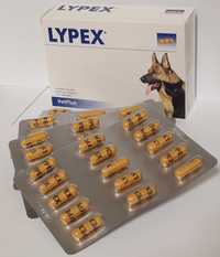 LYPEX - pies/kot zapalenie trzustki - 60 kapsułek