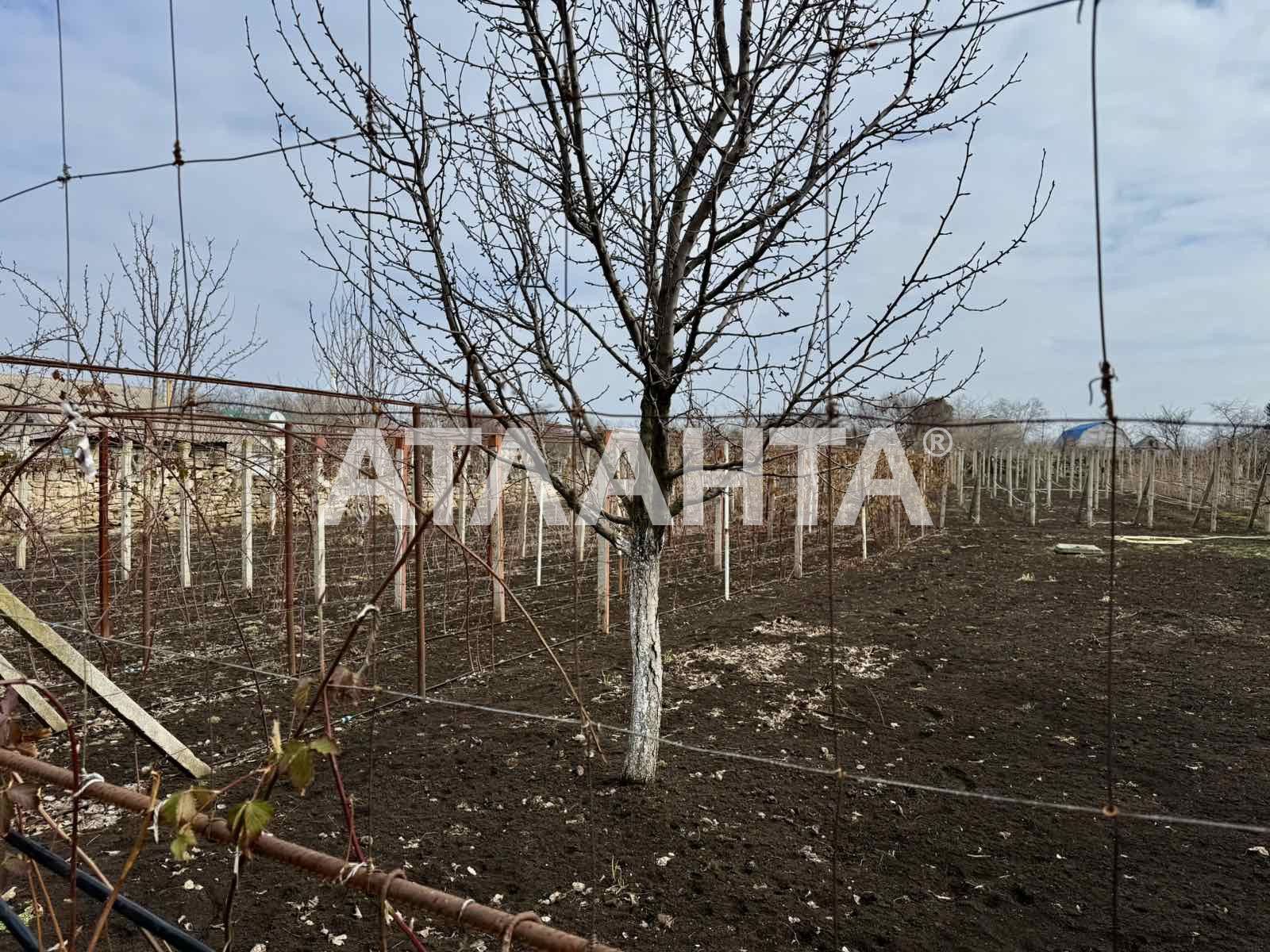 Участок 8,1 соток в Нерубайском в районе Кангуна!