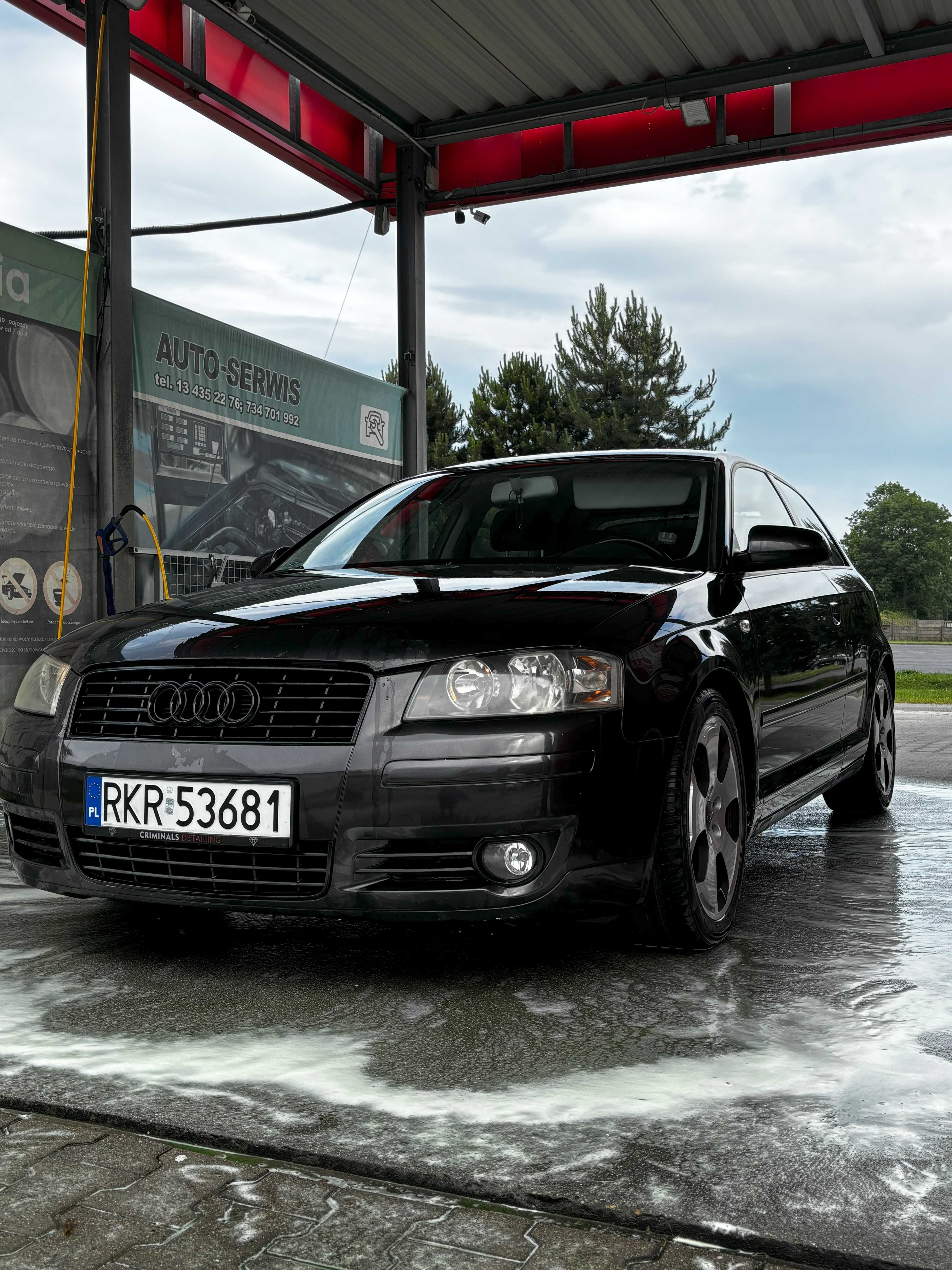 Audi A3 8P 1.6 MPI - idealne na pierwsze auto!