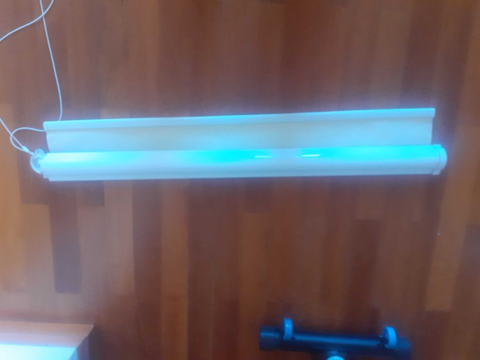 Roleta wewnętrzna