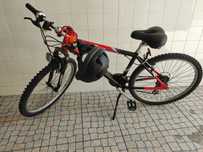 Bicicleta de cross Team road