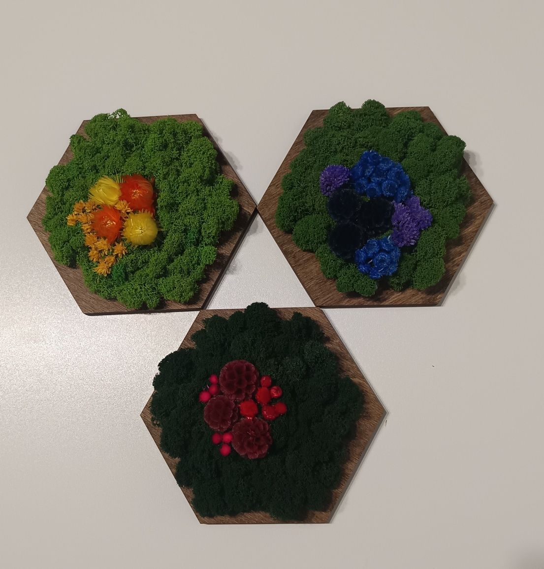 Panel hexagon mech CHROBOTEK i rośliny stabilizowane