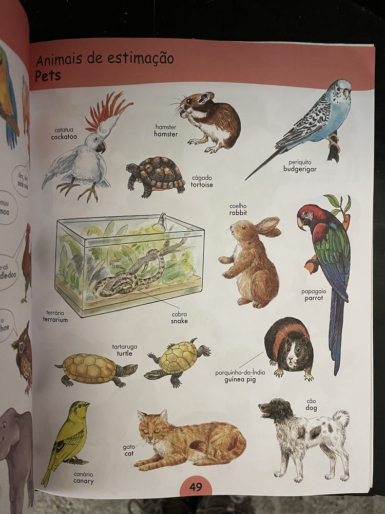 Livro de Inglês para crianças