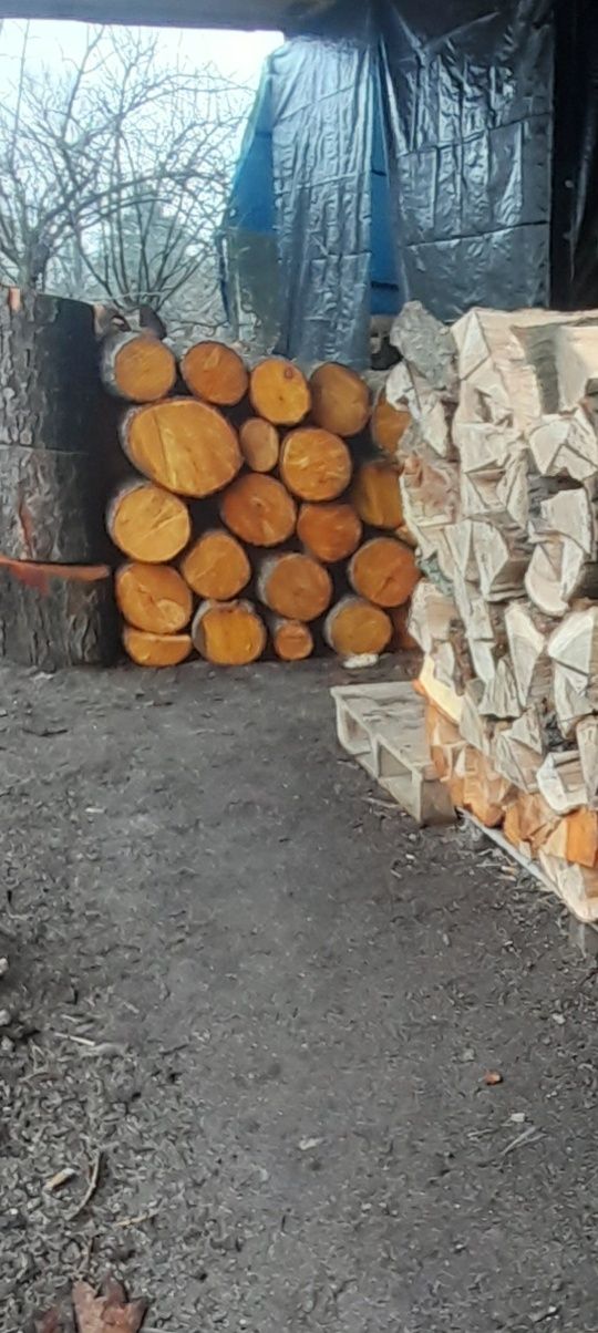 Drewno do wędzenia różne gatunki i do kominka