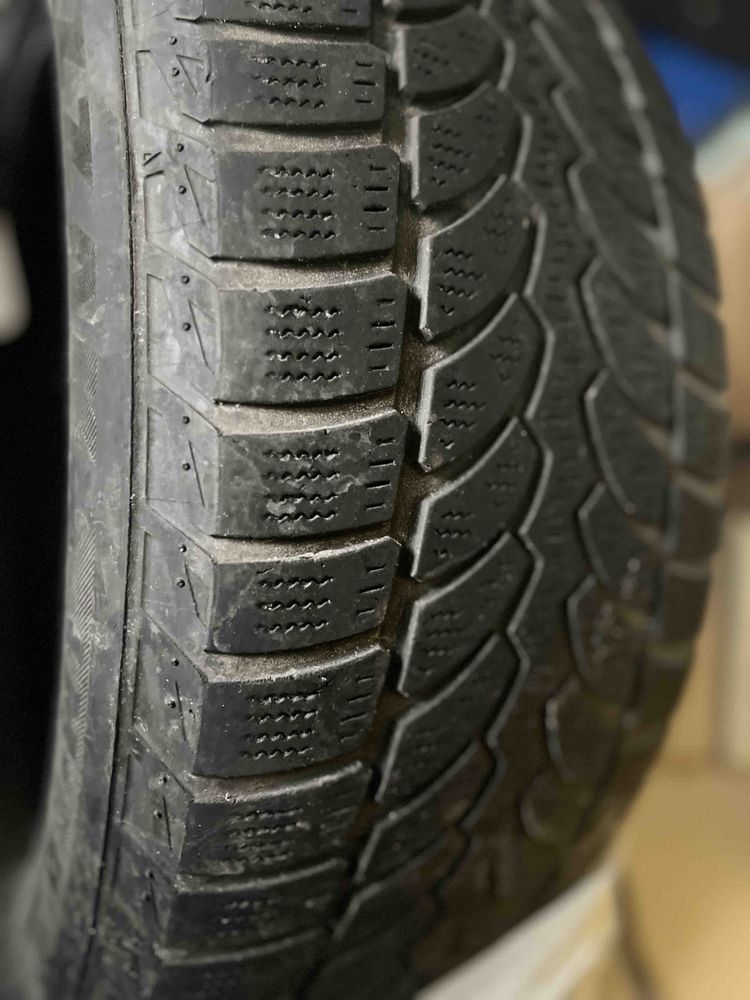 Зимові шини Bridgestone BLIZZAK LM 005 (235/55R17 99H)