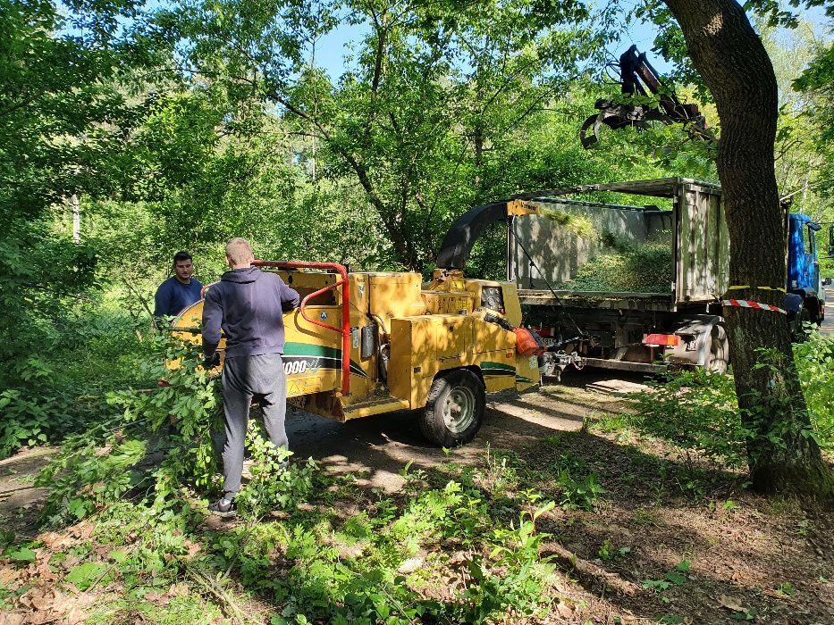 Wycinka drzew, czyszczenie działek, rębak do gałęzi, podnośnik koszowy