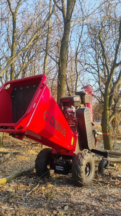 Koszenie trawy, wycinka drzew, usługi rębakiem, czyszczenie działek