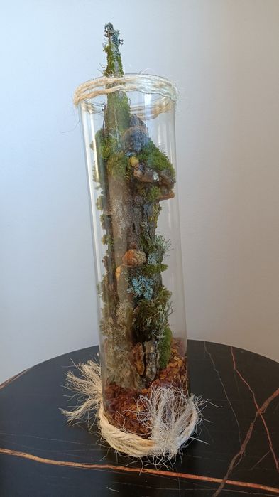 Piękno lasu za szkłem