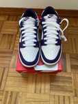 Nike Dunk Low Championship Court Purple