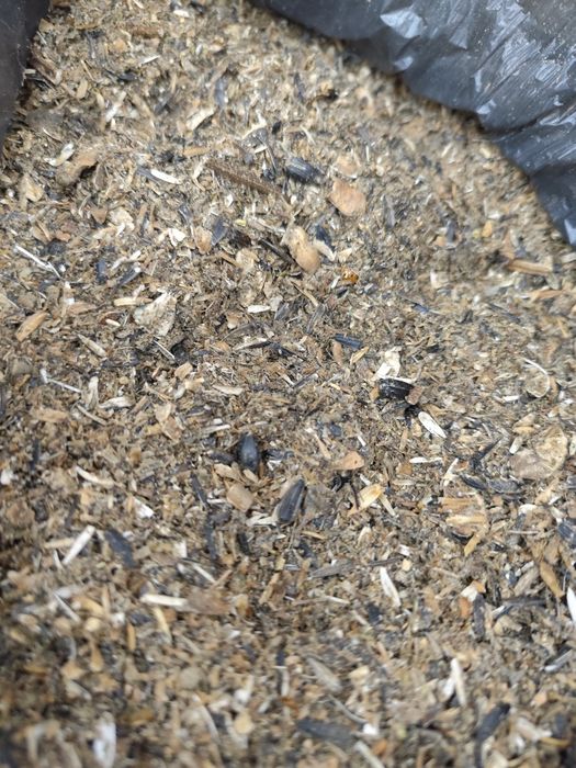 Продам отход, лушпиння соняшника, кукурудзи, пшениці