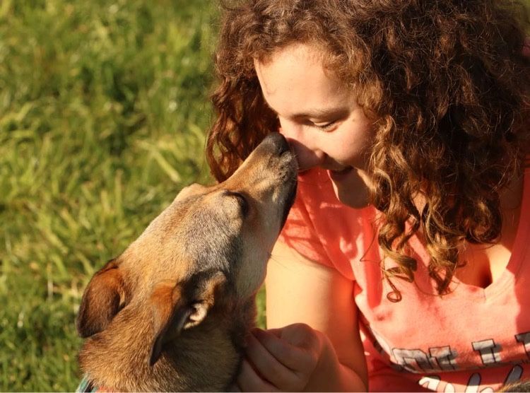 Kochana nieduża 4 letnia Dafne szuk domu