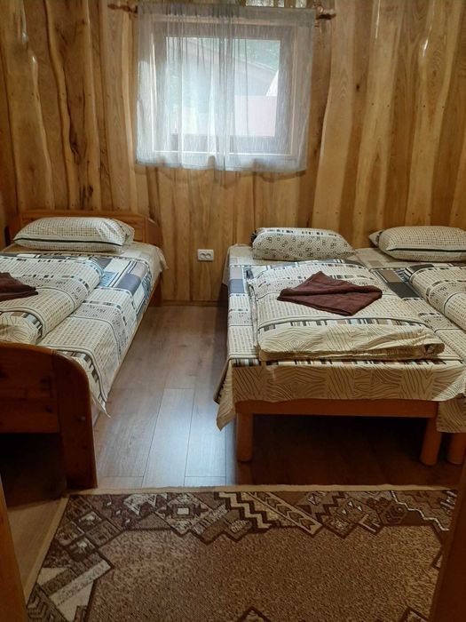 Берегове. с. Дийда  Котедж  VillaDAn, біля термальних басейнів