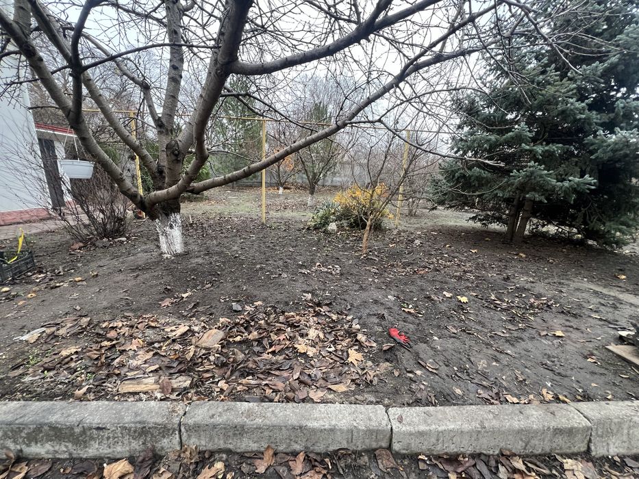 Оренда будинку на правому берзі