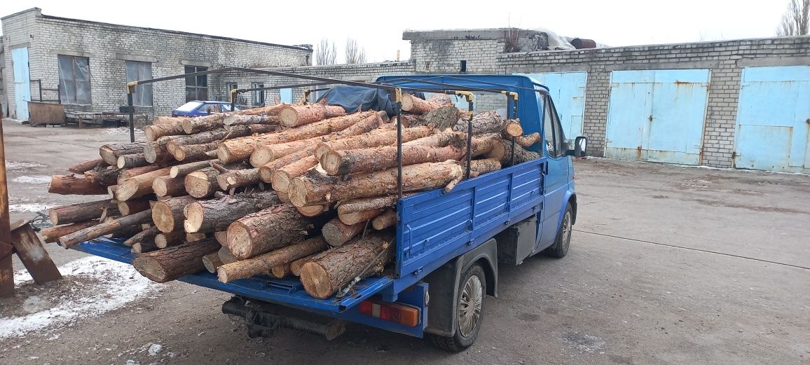 Продам дрова твердих та соснових  порід