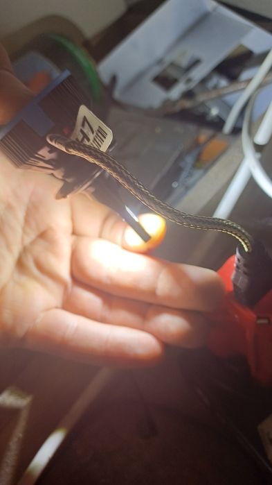 Лапмочка S5 H7 12v