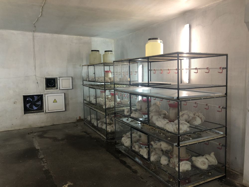 Продається багатофункціональне фермерське приміщення