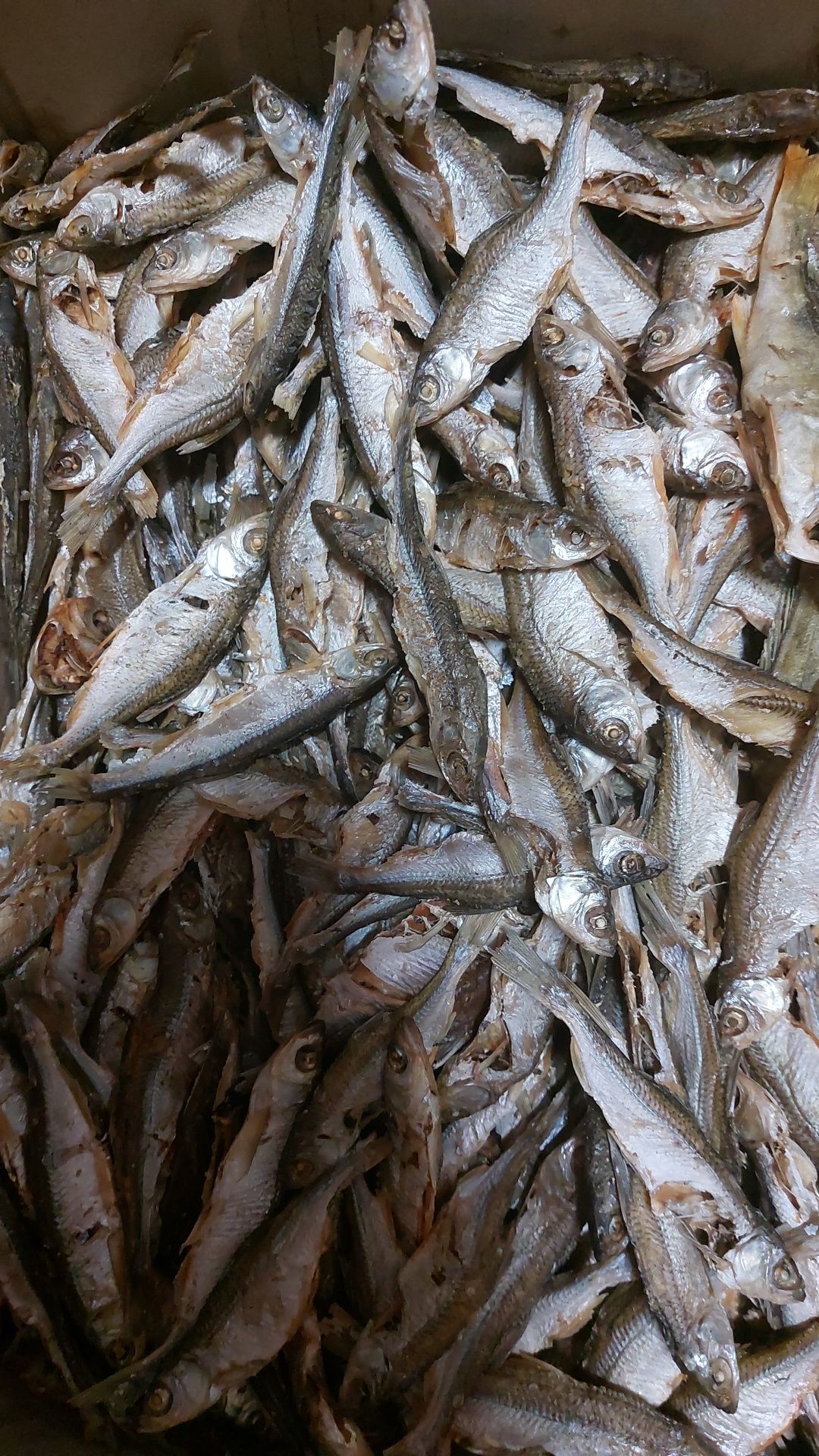 Риба з печі хрустка(карась, лящ) печена на соломі