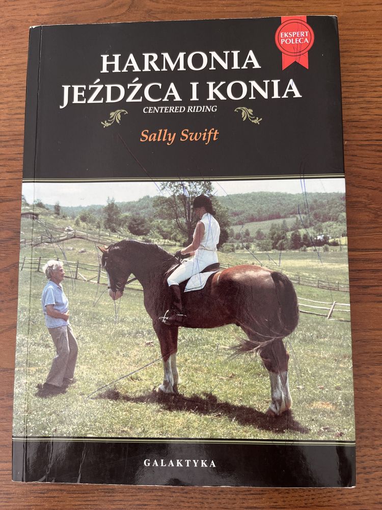 Harmonia jeźdźca i konia Sally Swift