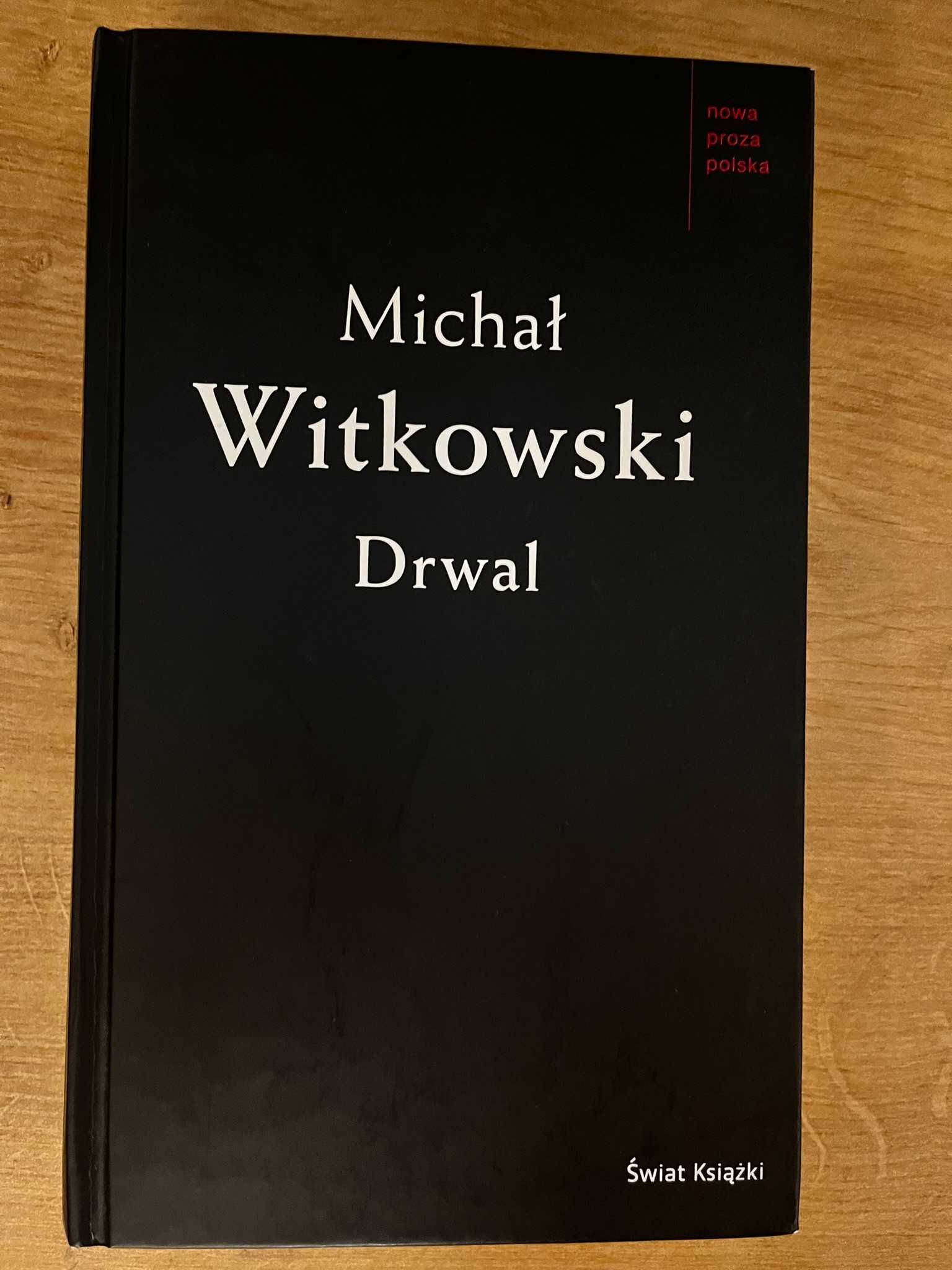 Książka "Drwal" - Michał Witkowski