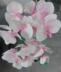 Kwiat orchidea storczyk bialo różowy