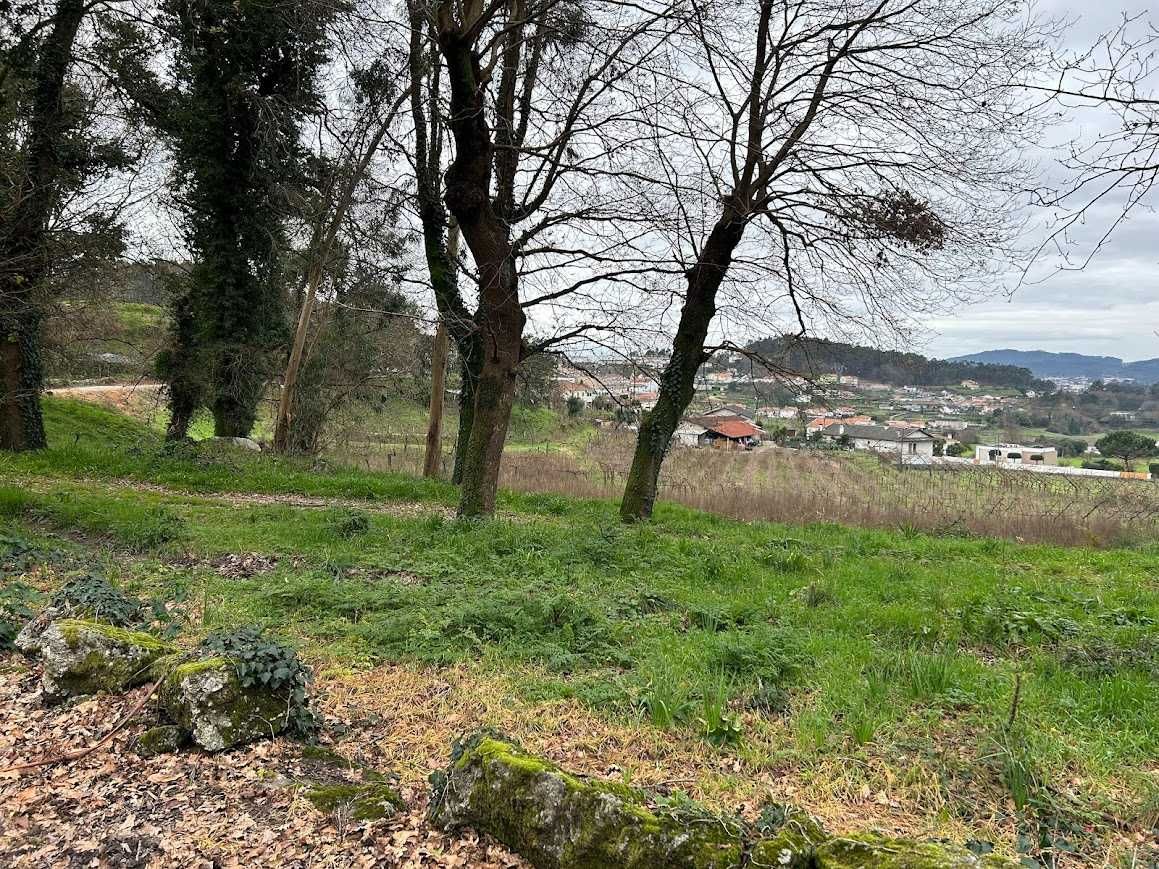 Terreno e Monte Santa Eufémia Prazins