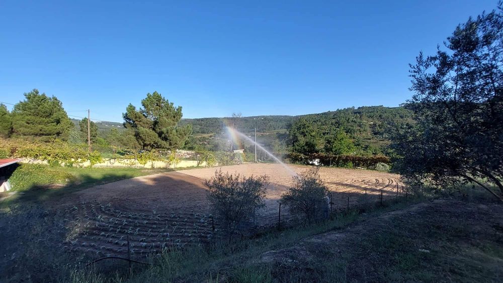 Vendo quinta em viseu a 2 minutos das termas de alcafache com moradia