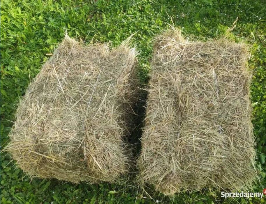 Sprzedam Siano w kostkach