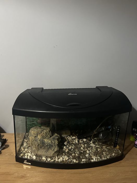 Akwarium DIVERSA54L