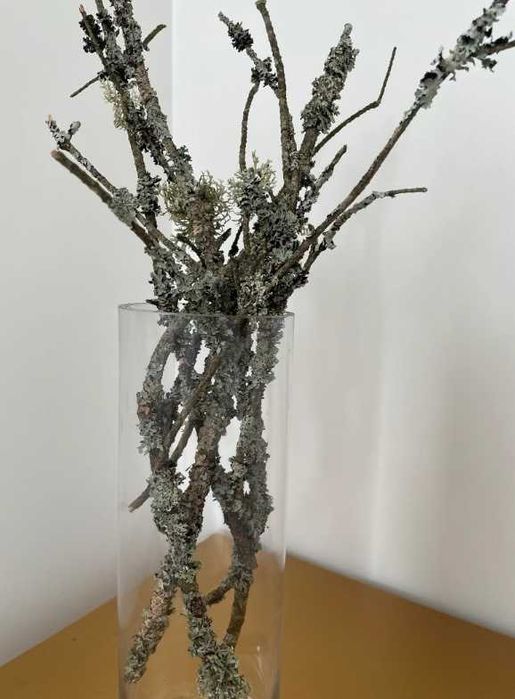 gałązki z mchem i szyszki, mech z szyszkami artykuły plastyczne