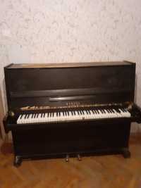 Піаніно    Кубань