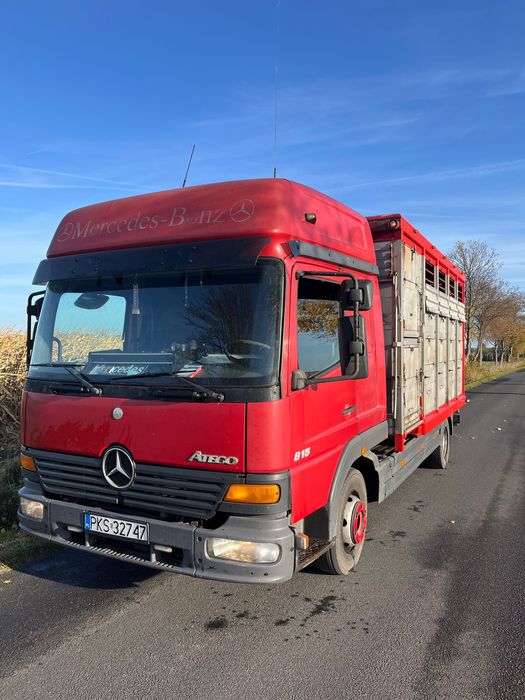 Do przewozu zwierząt żywca bydła cieląt