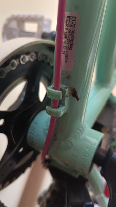 Rower Kross Nelly 20 cali