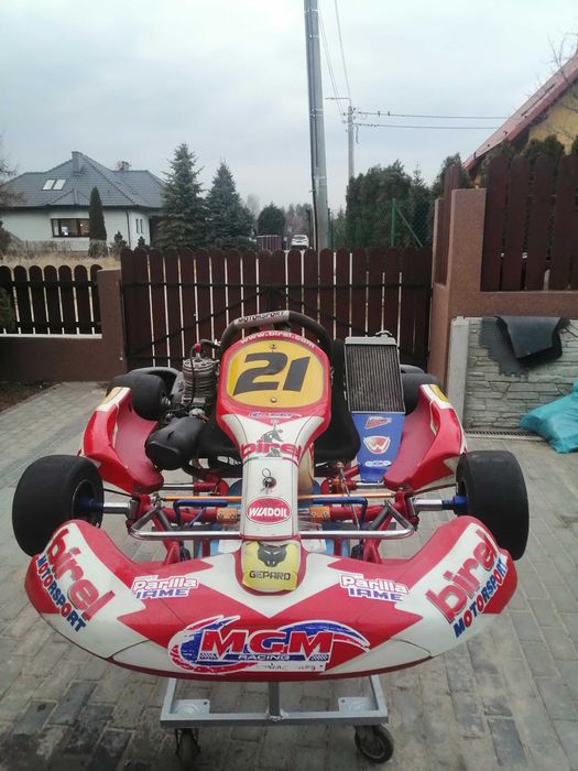 Gokart z silnikiem 125cc Iame /Parilla xtr