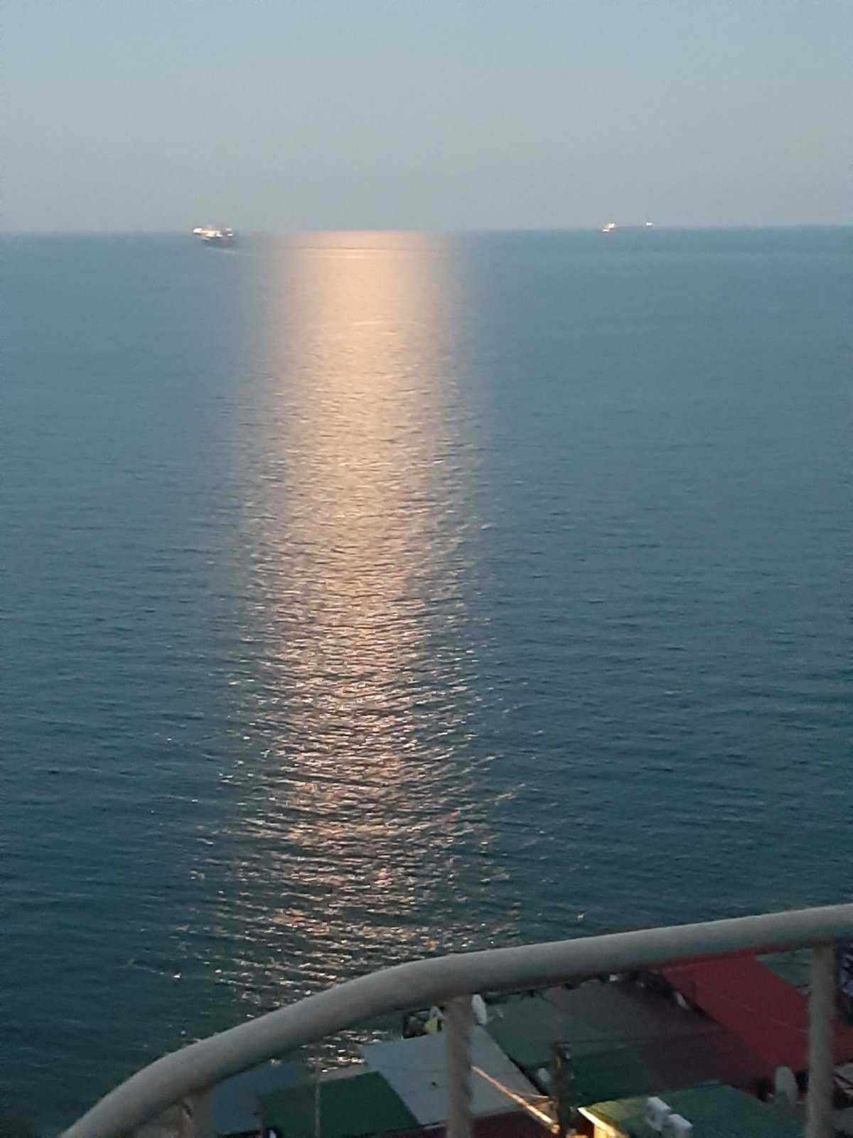 Здам дім біля моря в Одесі, Совіньйон