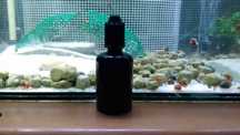 Permanganato de potássio 30ml diluído (0,5ppm)